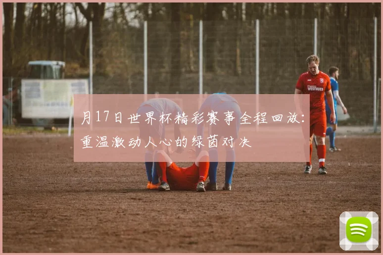 月17日世界杯精彩赛事全程回放：重温激动人心的绿茵对决