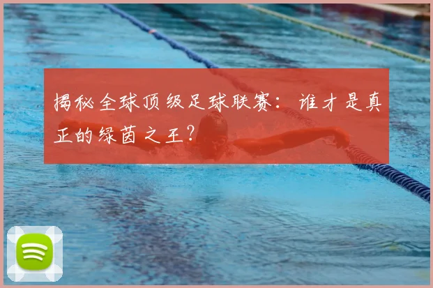揭秘全球顶级足球联赛：谁才是真正的绿茵之王？
