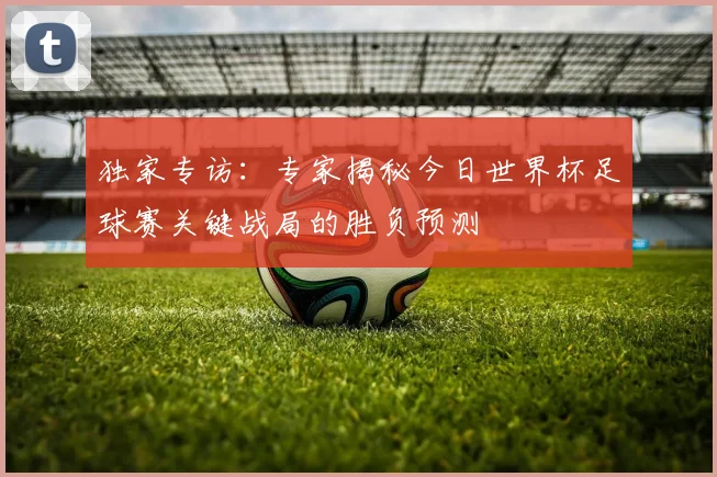 独家专访：专家揭秘今日世界杯足球赛关键战局的胜负预测