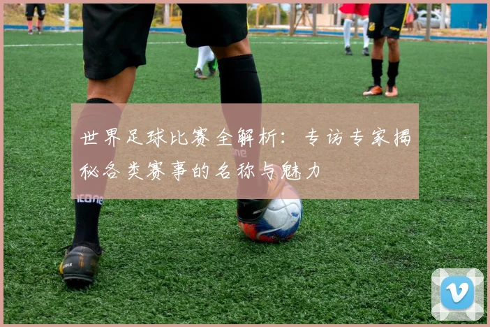 世界足球比赛全解析：专访专家揭秘各类赛事的名称与魅力