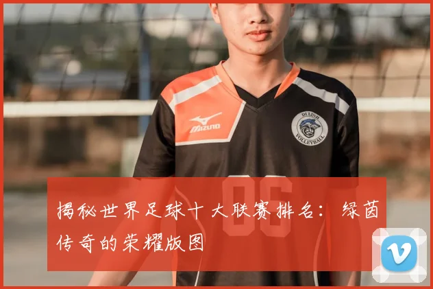 揭秘世界足球十大联赛排名：绿茵传奇的荣耀版图