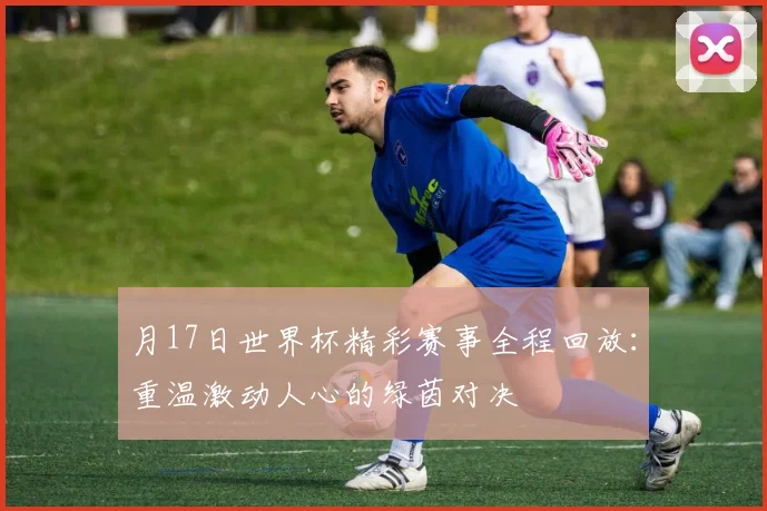 月17日世界杯精彩赛事全程回放：重温激动人心的绿茵对决